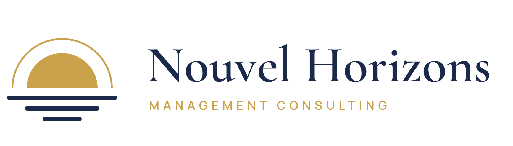 Nouvel Horizons Management Consulting logo